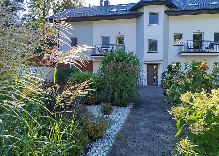 Dar-bull * Sarbinowo